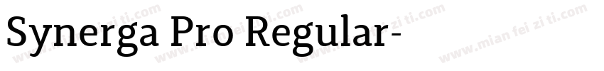 Synerga Pro Regular字体转换